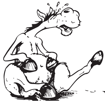 cartoon horse with belly ache