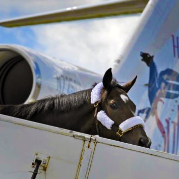 Rachel Alexanda getting off a transport plane