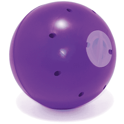 purple ball horse toy