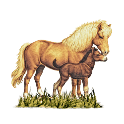 Miniature Horse mare and foal